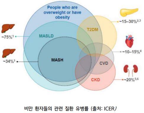 당뇨 치료제 이제 나오나? 비만 치료제의 새로운 희망!